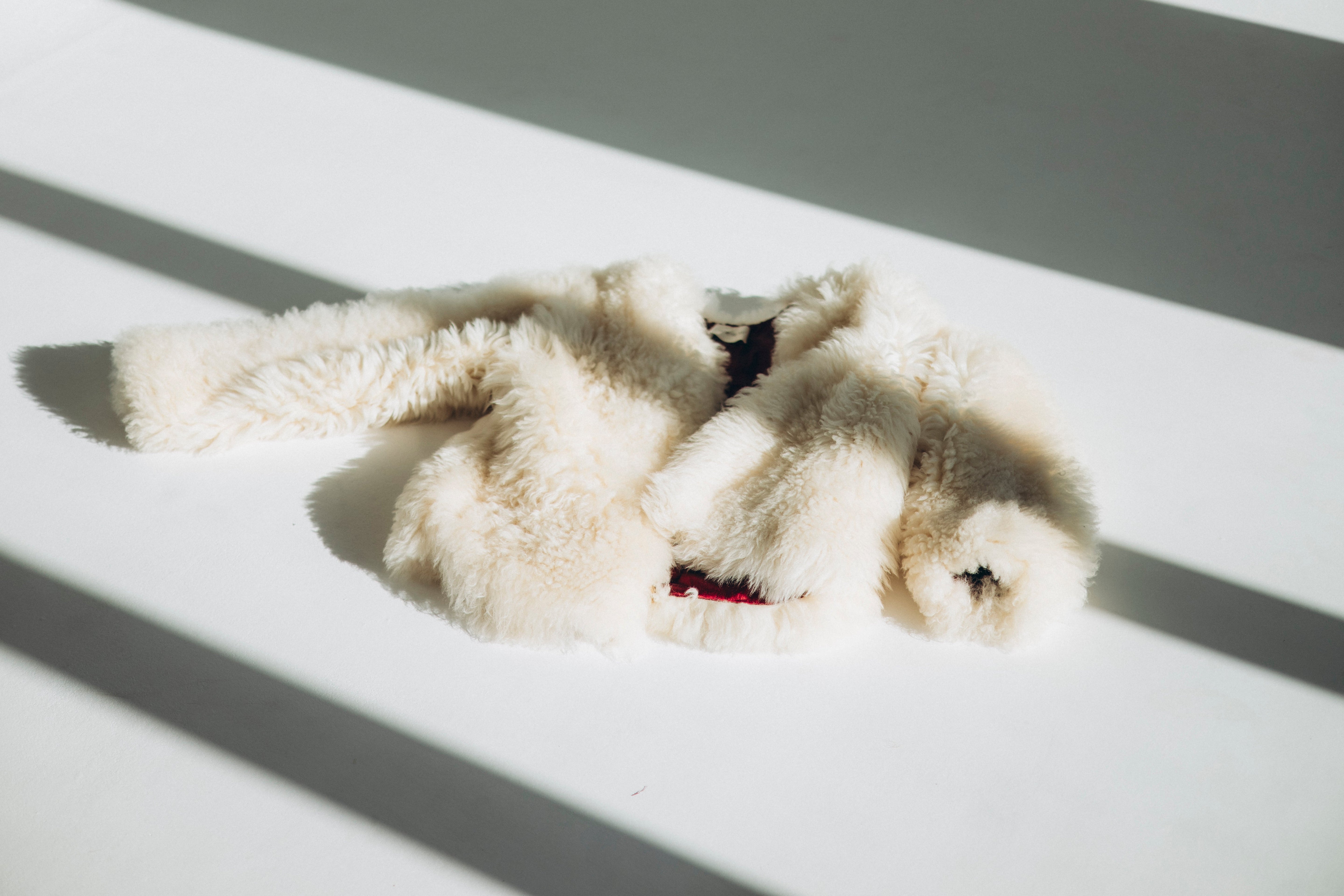 ZUBEK’s ivory white sheepskin coat resting in warm sunlight on a textured floor. Naturally luxurious, biodegradable, and sculpted in clean, timeless design.