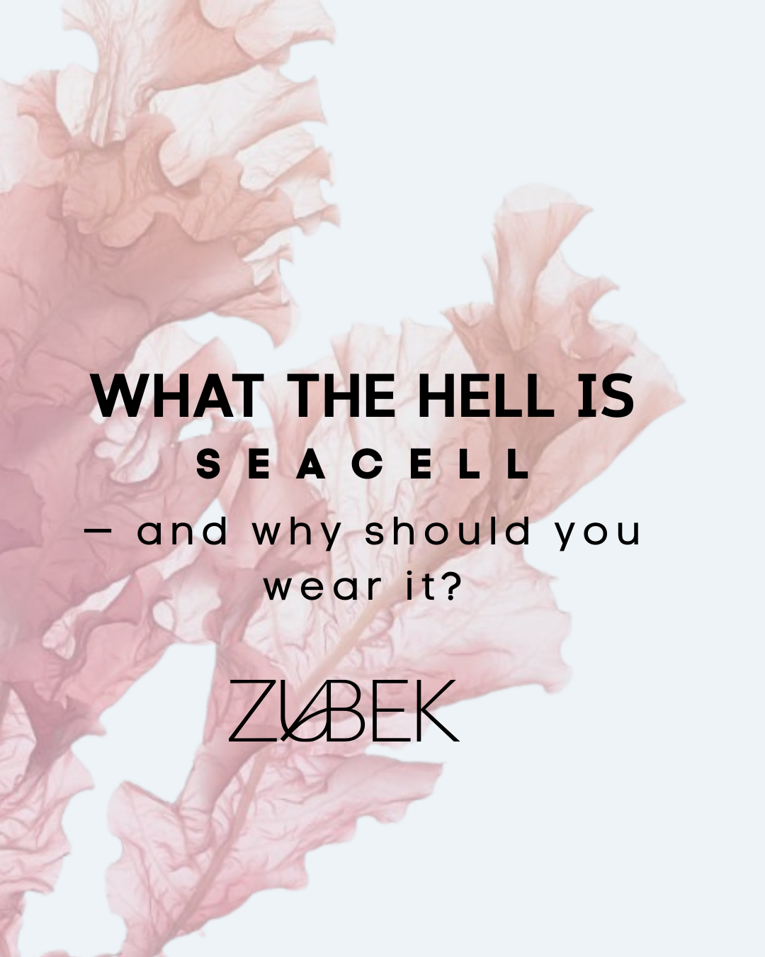 ZUBEK  biodegradable activewear made from 100% SeaCell fiber Announcement 